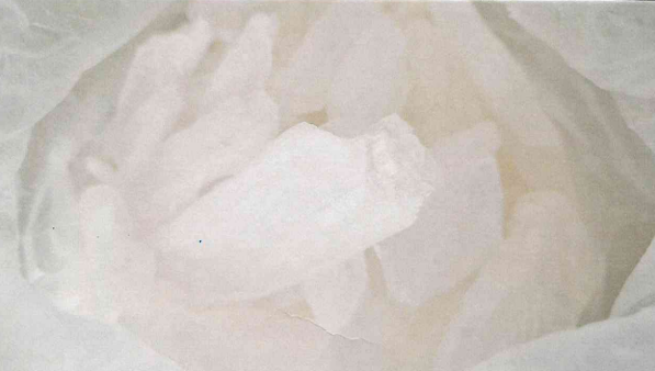 FGR obtiene sentencia condenatoria contra una persona por delito contra la salud en Aguascalientes