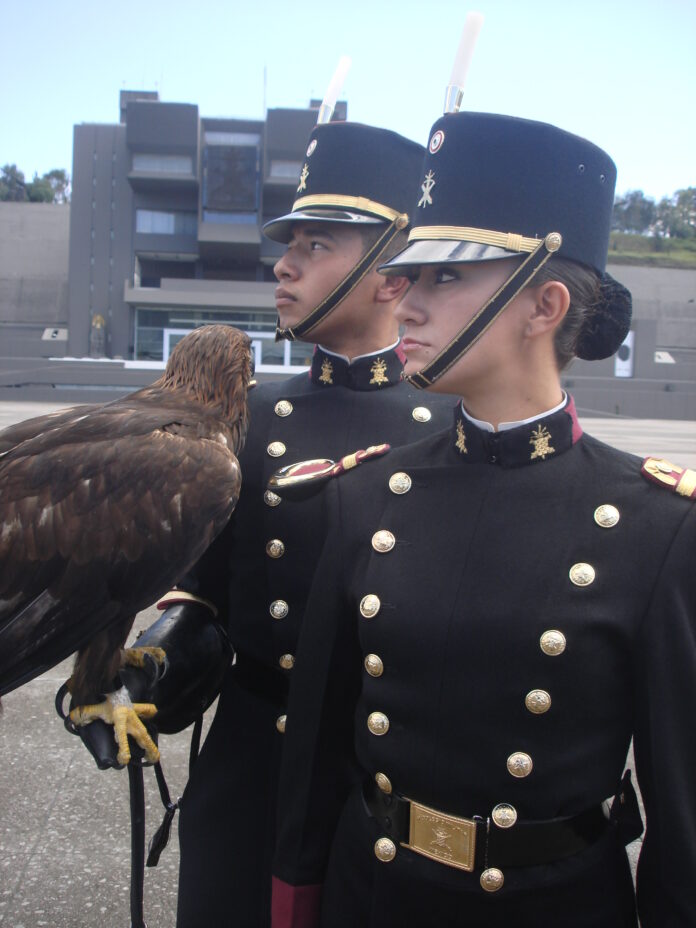 ¿Cómo se forman los soldados en México?