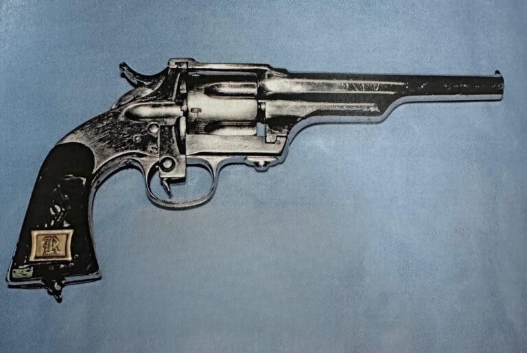 Sentencia condenatoria contra una persona por portación de arma de fuego