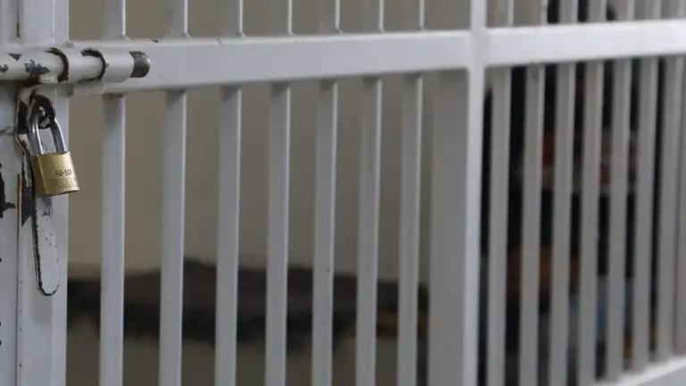 AEIC aprehende a mujer vinculada a homicidio