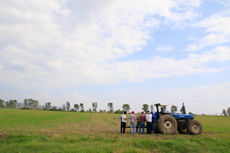 Retos y oportunidades de seguridad alimentaria en México