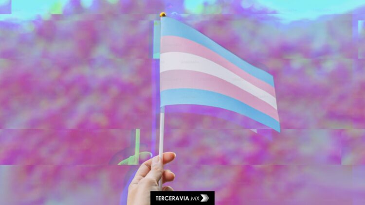 Día de la Visibilidad Trans: Conoce estos colectivos LGBTQ+ en México