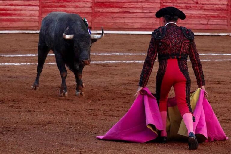Corridas de toros dejarán de ser un espectáculo eventualmente
