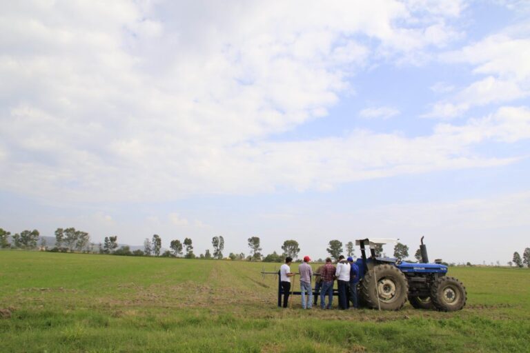 Sequía y escasez, detrás del alto precio de la carne: experto de la UAA