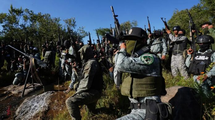 Efectos de la nueva clasificación de los cárteles mexicanos en Estados Unidos