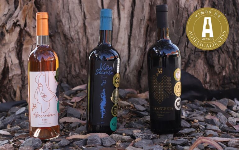 Vinos de Aguascalientes destacan a nivel internacional con 8 medallas en el Japan Women’s Wine Awards Sakura 2025
