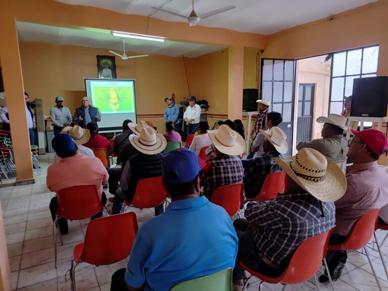 Se capacitan productores de Aguascalientes para prevenir plagas y enfermedades de maíz y frijol