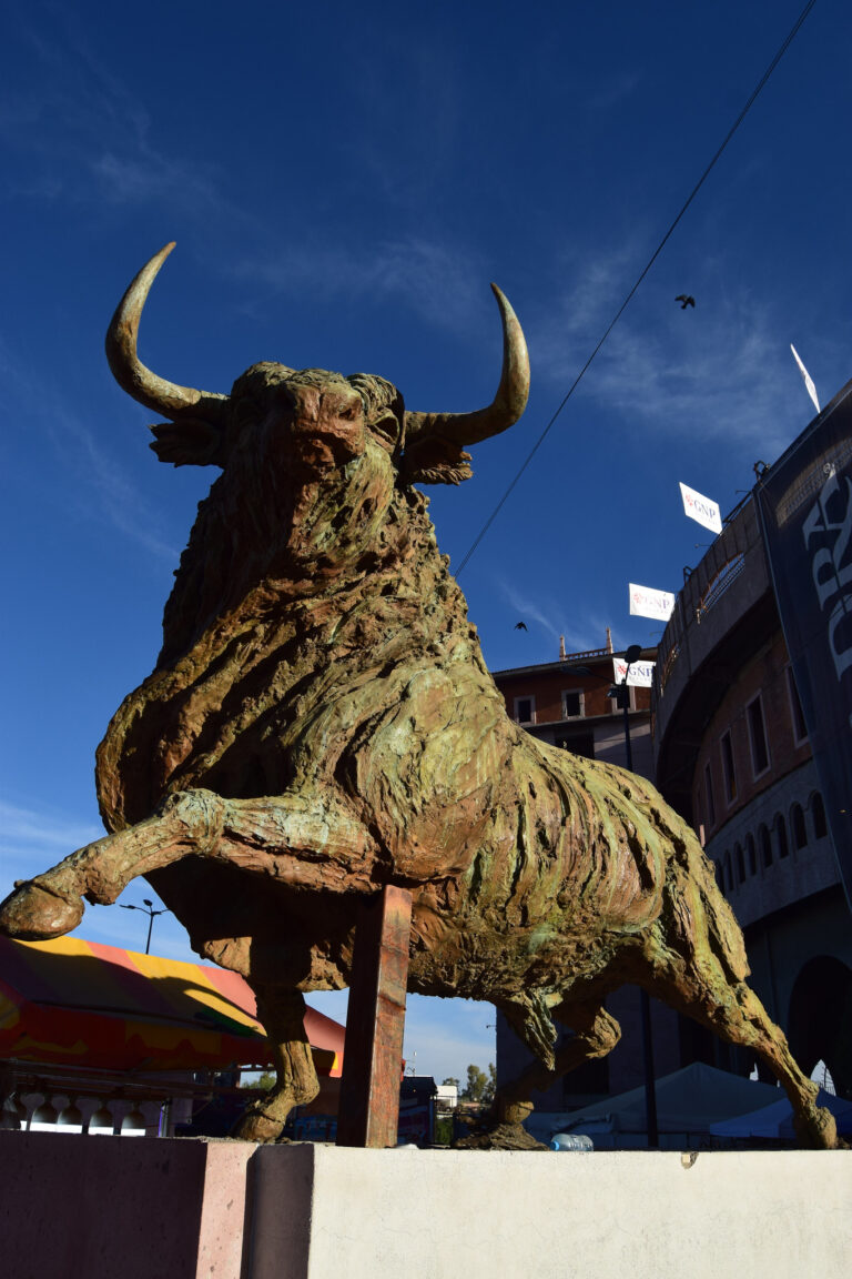 Corridas de toros sin violencia podrían ser un hecho para la FNSM 2025