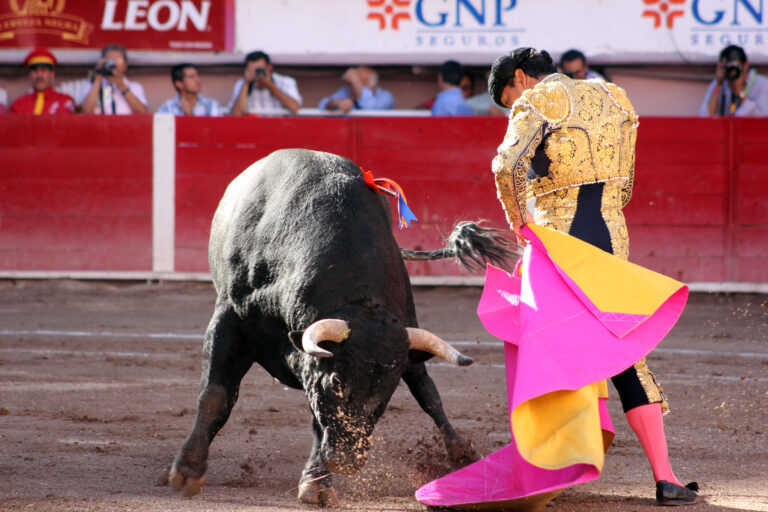 Controversia por declarar patrimonio cultural a corridas y gallos