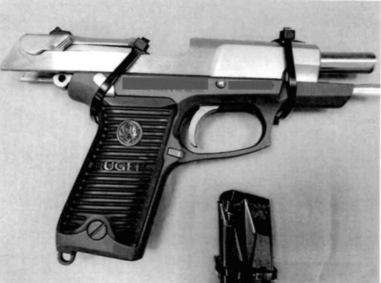 Sentencia condenatoria contra una persona por portación de arma de fuego