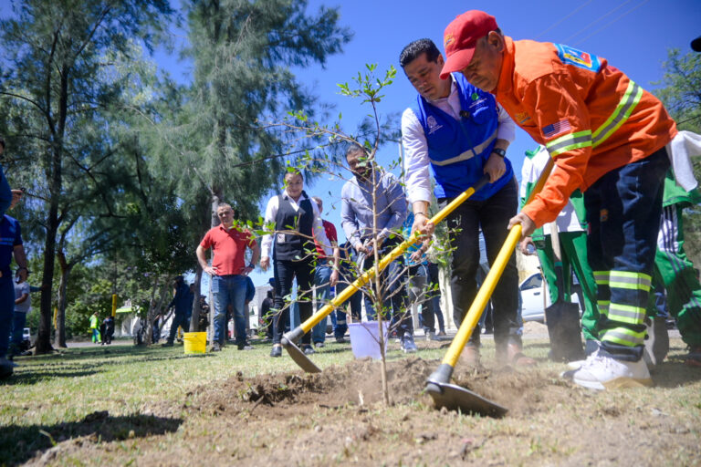 Se reforestó el camellón de Ignacio T. Chávez y calle Medellín en Aguascalientes