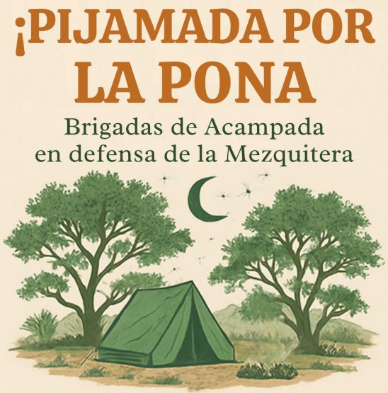 Salvemos La Pona mantiene campamento indefinido y prepara nuevas acciones legales en Aguascalientes