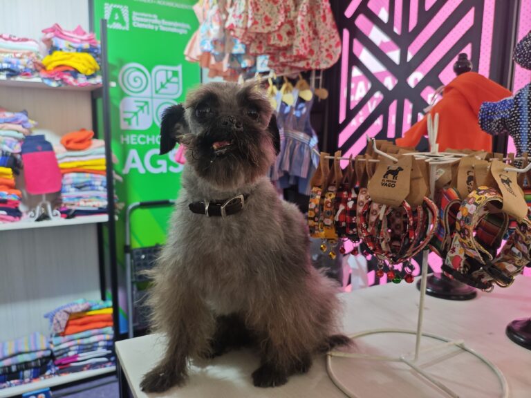 El Perro Vago: ropa con estilo para mascotas, hecha en Aguascalientes