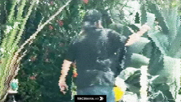 Indignación en Mazatlán: turista estadounidense corre a trabajador mexicano de una banqueta