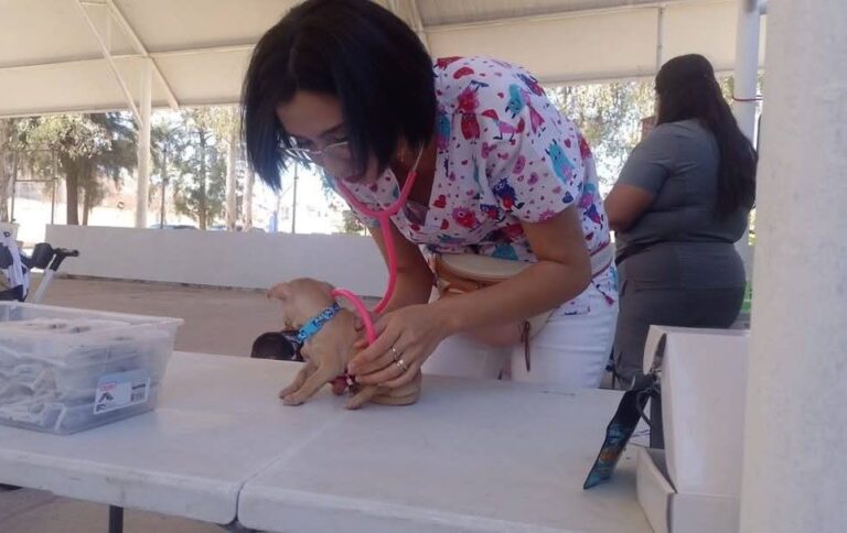 Anuncian nuevas fechas de la Clínica Veterinaria Móvil en Aguascalientes