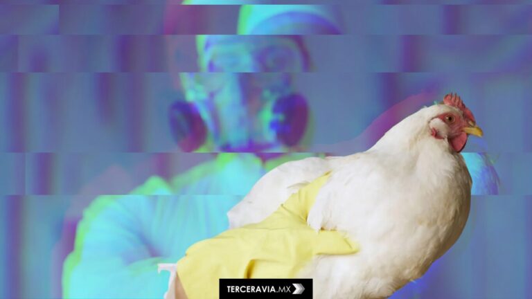 Gripe aviar H5N1 en humanos: lo que debes saber tras el primer caso mortal en México