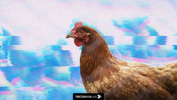 Confirman primer caso humano de influenza aviar H5N1 en México, en niña de 3 años