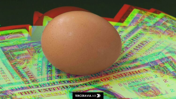 Crisis de los huevos en Estados Unidos: entre contrabando, gripe aviar y ayuda europea condicionada