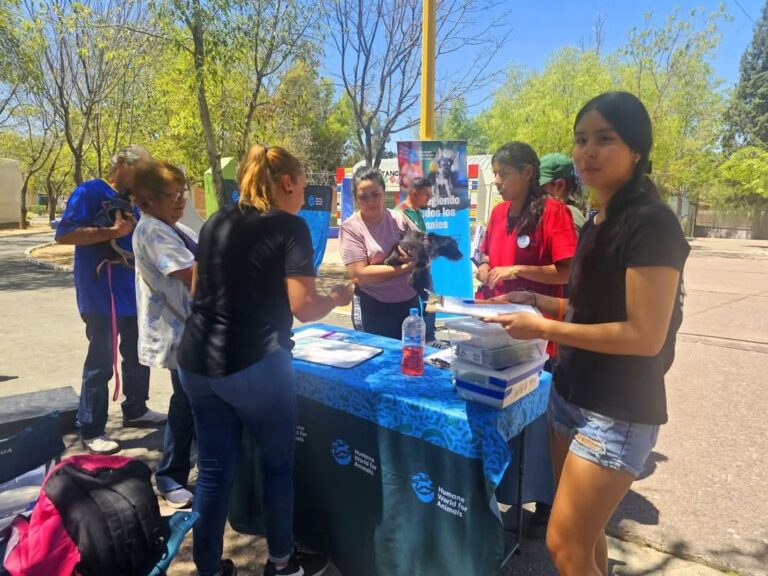 Municipio da a conocer nuevas fechas de la Clínica Veterinaria Móvil