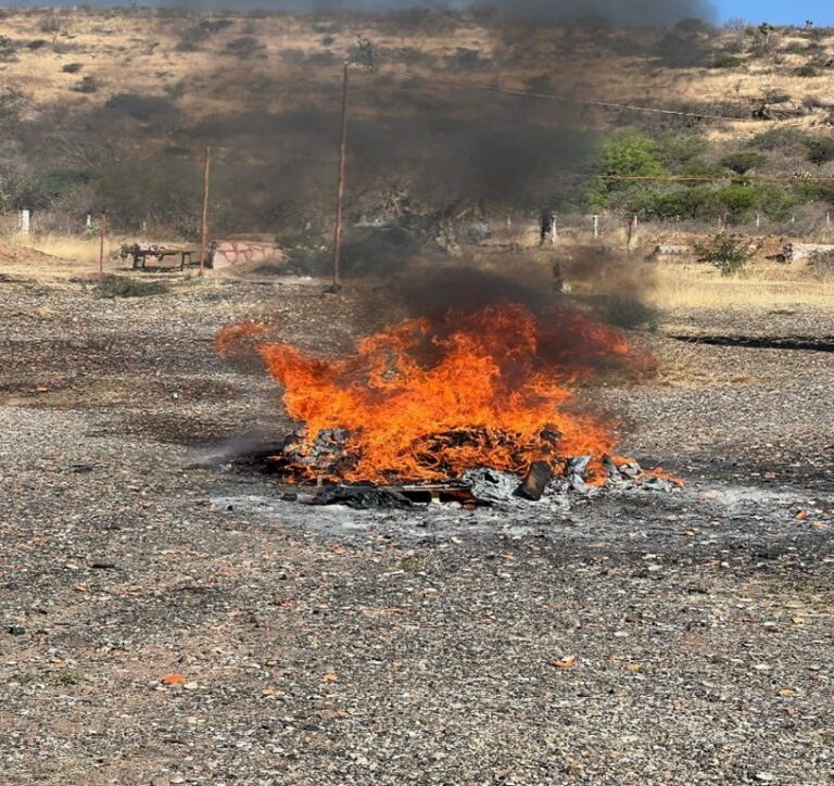 FGR destruye narcóticos en Aguascalientes