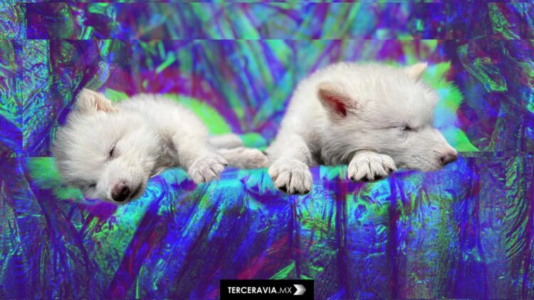 Científicos crean lobos terribles tras 13.000 años de extinción