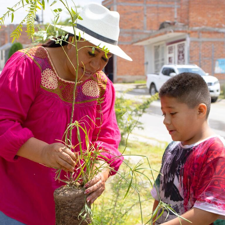 Se impulsan acciones legislativas en favor del cuidado del medio ambiente