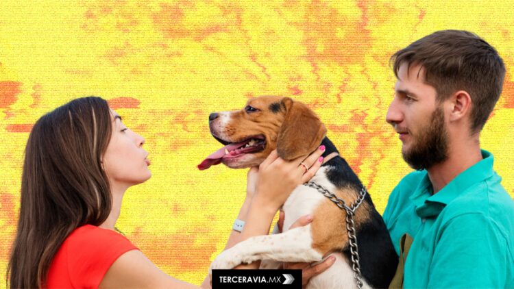 Gobierno de Tabasco pide tener hijos “para llenar las aulas”: jóvenes cuestionan si hay condiciones para criar