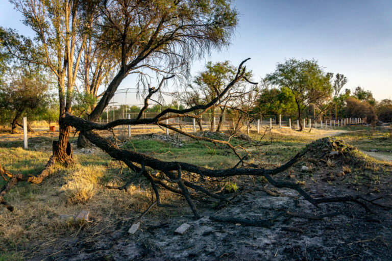 ¿Quién está detrás del fraccionamiento en La Pona? La inmobiliaria que busca construir en una reserva natural de Aguascalientes