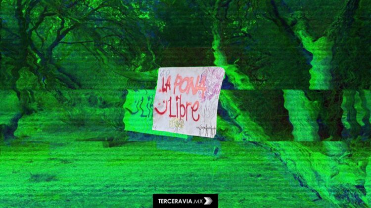 #SalvemosLaPona: Activistas responden al ecocidio que está sucediendo en Aguascalientes