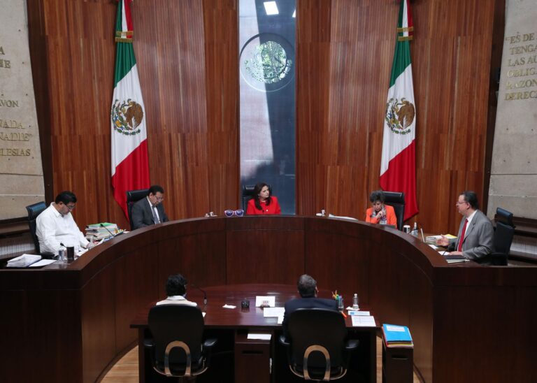 INE no cuenta con atribuciones exclusivas para la promoción o difusión del PEEPJF