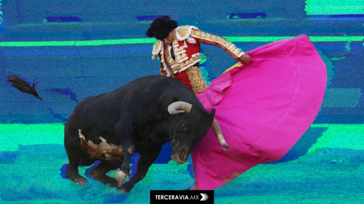 Michoacán prohíbe las corridas de toros pero sigue permitiendo las peleas de gallos