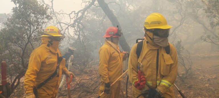 Bomberos del municipio de Aguascalientes participaron en el combate del incendio en la Sierra de Tepechitlán