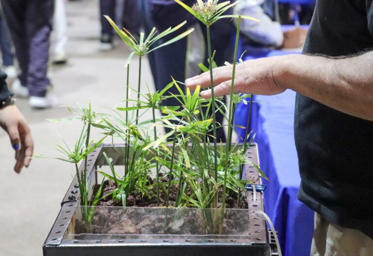 Abren convocatoria al Premio Municipal de Cuidado al Medio Ambiente 2025 en Aguascalientes