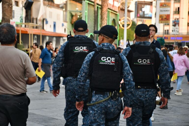 76 detenidos el primer fin de semana de la Feria