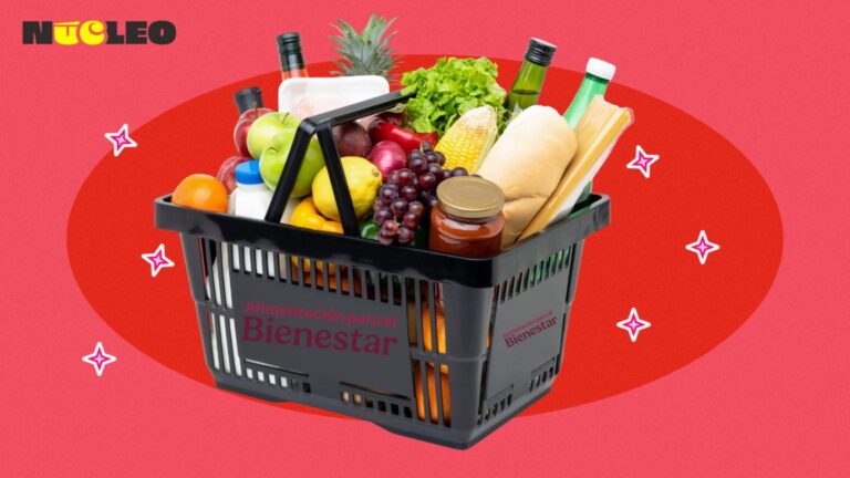 Alimentación del bienestar: Cómo funcionará el programa de Sheinbaum para llegar a la autosuficiencia alimentaria