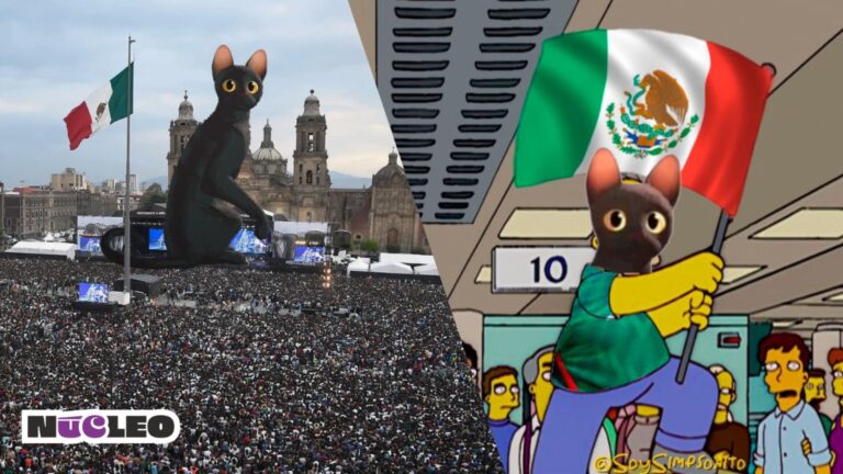 ¡Flow llega al Zócalo! Película ganadora al Oscar se proyectará gratis