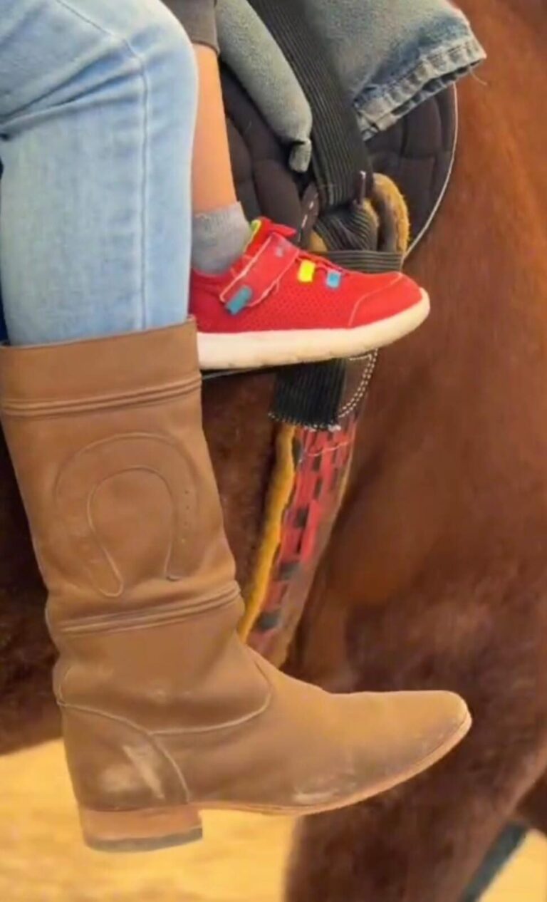 El Gobierno Municipal de Jesús María pone en marcha el servicio de equinoterapia para menores con discapacidad