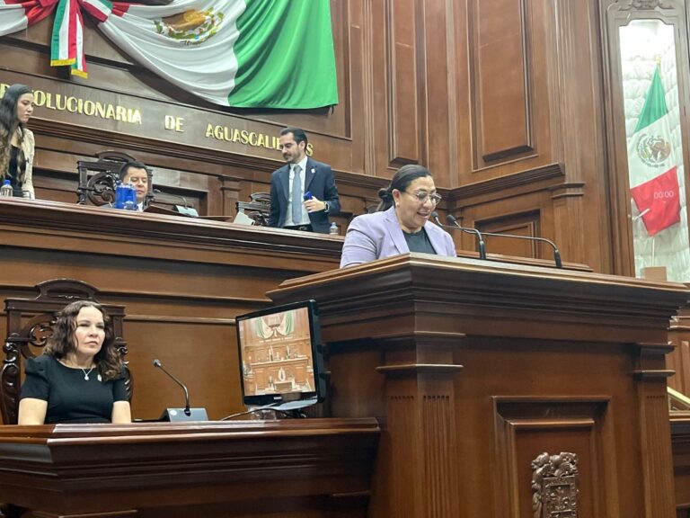 Mirna Medina presentó una iniciativa a favor de menores con discapacidad en Aguascalientes
