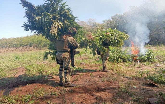 Gabinete de Seguridad informa acciones relevantes del 7 de abril de 2025