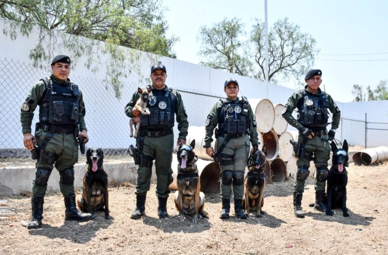 SSPM da la bienvenida a nuevos integrantes caninos del Grupo Especial K9