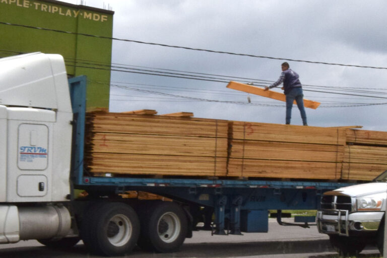 Cae hasta 40% la venta de madera en Aguascalientes, alerta la industria 