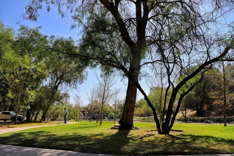 Rescate del Río San Pedro en Aguascalientes tardaría muchos años, difícil que se cumpla la orden federal
