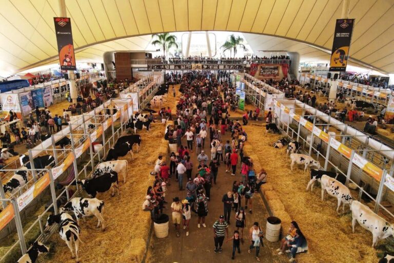 Las Expos Ganadera y Agroalimentaria se consolidan como la zona ferial favorita de las familias en Aguascalientes