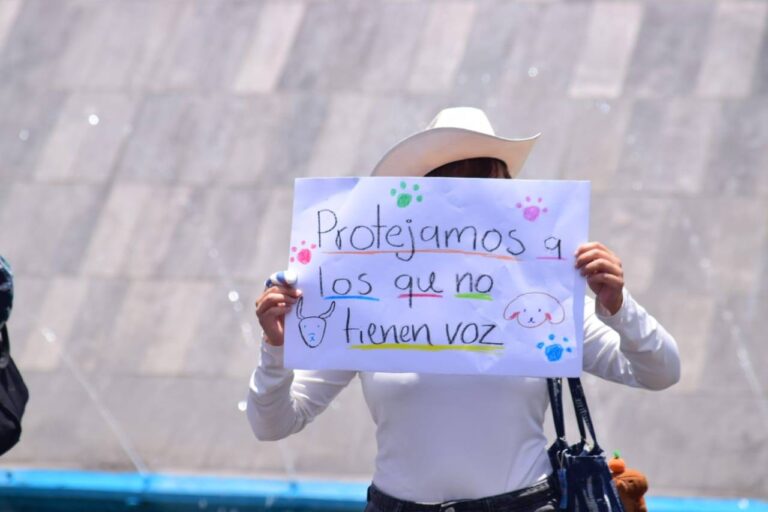 Llaman a legisladores a incrementar las penas contra el maltrato animal en Aguascalientes