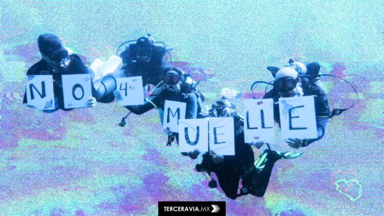 Controversia por el cuarto muelle en Cozumel: exigen frenar proyecto turístico que amenaza arrecife Villablanca