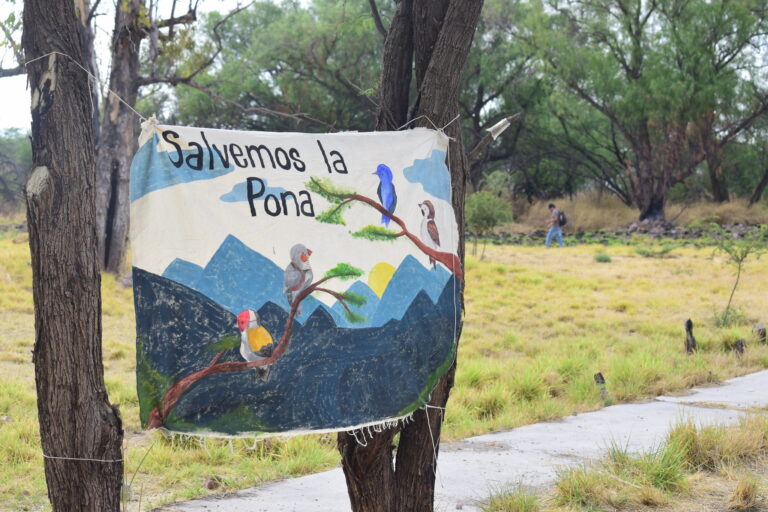 Comunicado de Salvemos La Pona A.C. en Aguascalientes