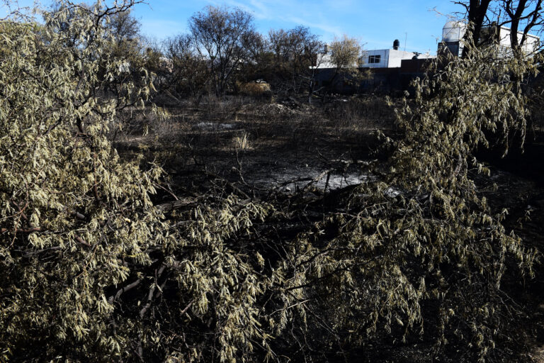 Defensa ciudadana de La Pona suma esfuerzos legales, comunitarios y culturales en Aguascalientes
