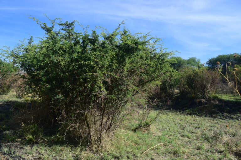 Ethel Martínez destaca el valor ambiental de La Pona y el cambio generacional en Aguascalientes