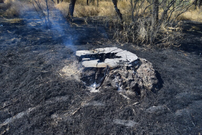 Persisten los incendios y la omisión institucional en La Pona en Aguascalientes