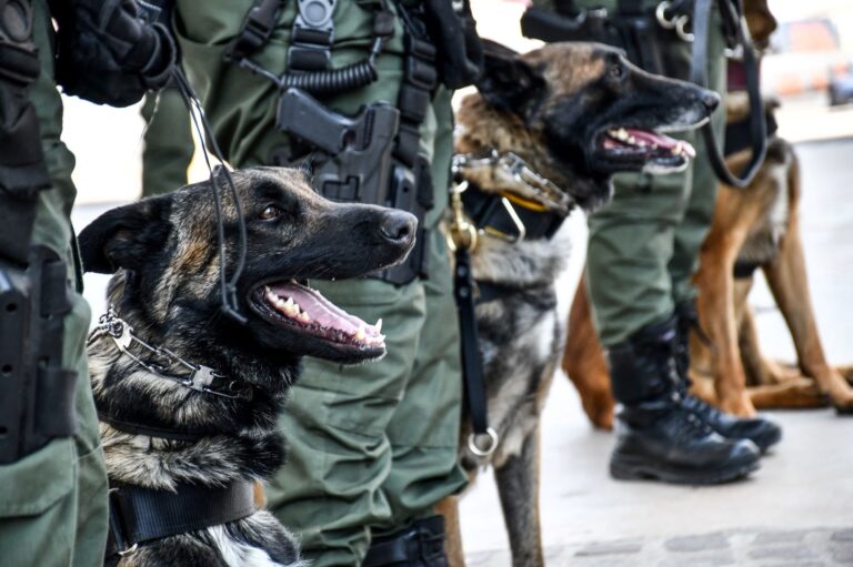Municipio de Aguascalientes privilegió trabajo coordinado para una feria segura, limpia, ordenada
